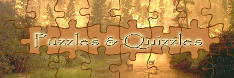 Puzzles & Quizzles